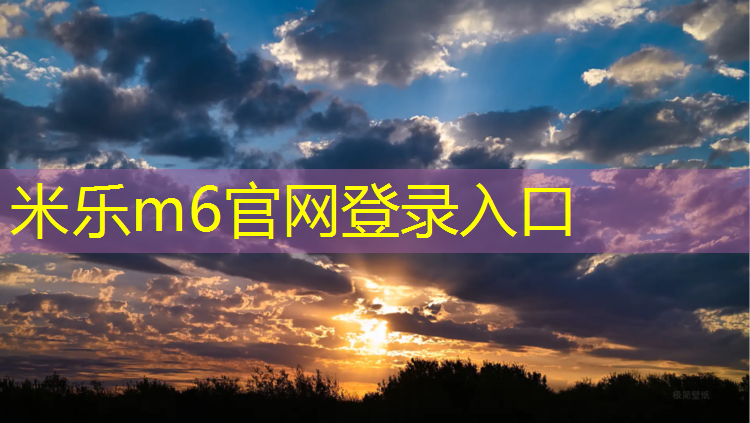 <strong>米乐：云梦预制型塑胶跑道</strong>